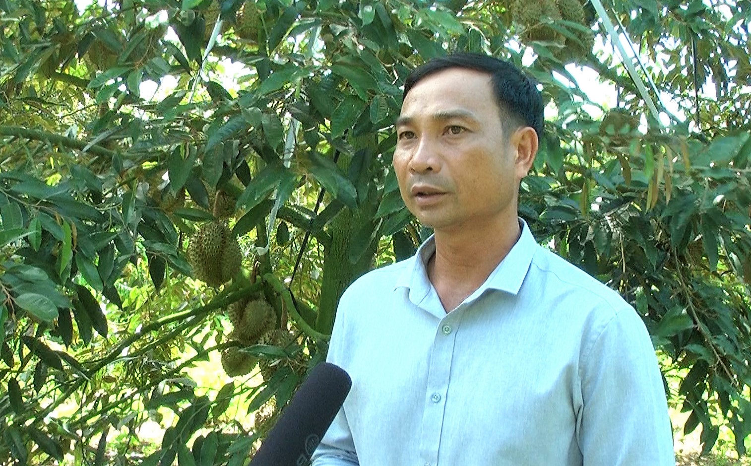 HANHBUI DRT5053.00_51_50_18.Still119